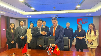 Die BUV und das China Academic Exchange Service Center arbeiten strategisch zusammen, um den internationalen Austausch zu fördern.