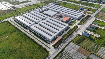 Nam Ich Thai Thang Textile Company: Umweltschutz als Frage des Überlebens.