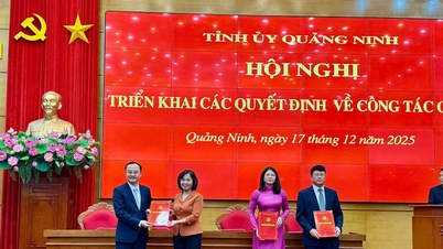 จังหวัดกวางนิงได้โยกย้ายและแต่งตั้งเจ้าหน้าที่จำนวนมากไปยังหน่วยงานต่างๆ และท้องถิ่น