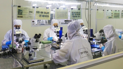 Provincie Bac Ninh vydala předpisy o koordinaci řízení zahraničních pracovníků pracujících v provincii.