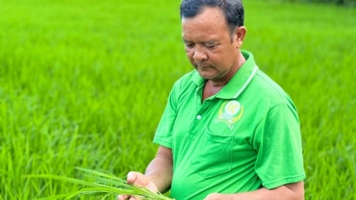 Ο Συνεταιρισμός Vinh Cuong αναπτύσσει ένα μοντέλο καλλιέργειας ρυζιού που μειώνει τις εκπομπές.