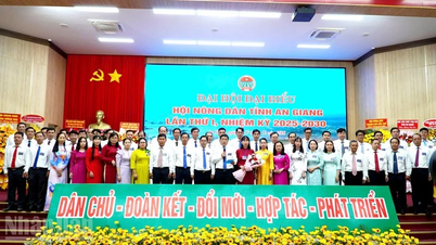 Sayın Nguyen Van Cop, An Giang İl Çiftçiler Birliği Başkanlığı görevini yürütmektedir.