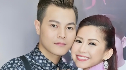 ศิลปินบิ่ญติ๋งประกาศคำตัดสินของศาลและขอโทษผู้ชม