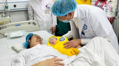 A comprehensive set of policies is needed to fill the gap left by the alarmingly low birth rate.