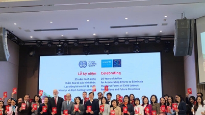 لقد تم إحراز تقدم كبير في منع وإنهاء عمالة الأطفال في فيتنام.