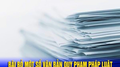 Triển khai Quyết định của Thủ tướng Chính phủ về bãi bỏ một số văn bản quy phạm pháp luật