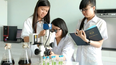 Pendidikan – Landasan utama untuk pengentasan kemiskinan di Delta Mekong.