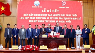Tay Ninh نے CT گروپ کے ساتھ سائنس اور ٹیکنالوجی کی ترقی، اختراعات اور ڈیجیٹل تبدیلی پر تعاون کے معاہدے پر دستخط کیے ہیں۔