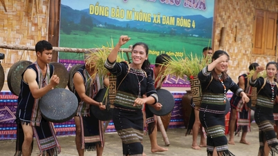 A m'nong nép "aratási imaünnepségének" újrajátszása Dam Rongban.