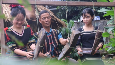 ទ្រព្យសម្បត្តិរស់នៅកណ្តាលព្រៃដ៏ធំល្វឹងល្វើយ។