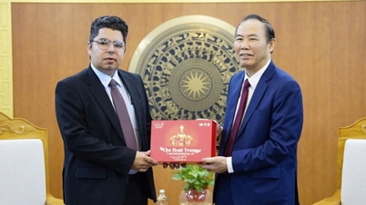 Vietnam dan Cuba meluaskan kerjasama daripada beras kepada bioteknologi.