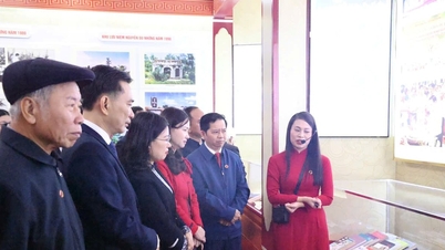 हा तिन्ह ने "महान कवि गुयेन डू - एक हजार वर्षों तक याद किए जाने वाले" विषयगत प्रदर्शनी का उद्घाटन किया।