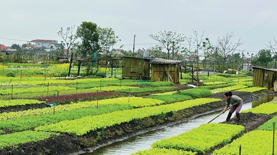 តំបន់ទំនាបកំពុងកើនឡើង