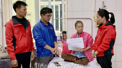 L'association caritative Minh Tam Hung Yen a fait un don de 18 millions de VND pour soutenir les familles défavorisées de la commune de Tien Hoa.