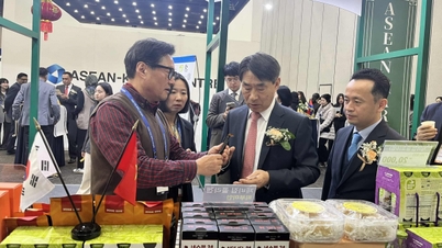 ベトナムは、ASEANと韓国間の貿易・投資関係において主導的な役割を主張している。
