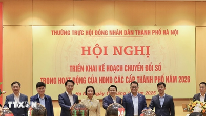 ទីក្រុងហាណូយគឺជាអ្នកត្រួសត្រាយផ្លូវក្នុងការអនុវត្តការផ្លាស់ប្តូរឌីជីថលនៅក្នុងប្រតិបត្តិការរបស់ក្រុមប្រឹក្សាប្រជាជនគ្រប់លំដាប់ថ្នាក់។