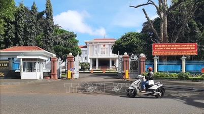 យ៉ាឡៃ៖ ការរួមបញ្ចូលគ្នានូវអង្គភាពសេវាសាធារណៈដើម្បីធ្វើឱ្យប្រព័ន្ធអង្គការមានភាពប្រសើរឡើង។