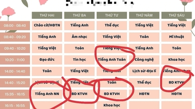Žádost o přezkoumání kolaborativní výuky ve veřejných školách.