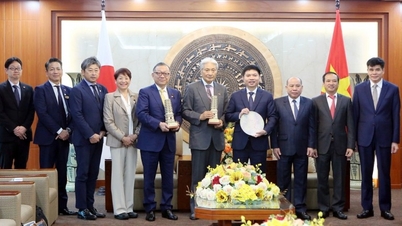 Phu Tho - Tochigi: Pokračování v posilování výměny informací a obchodních vztahů.