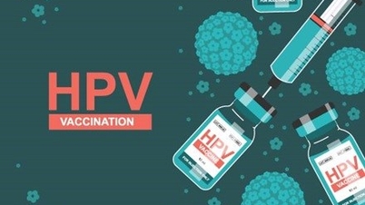 Umfassende HPV-Präventionsstrategie: Ein starker Schutzschild für die öffentliche Gesundheit und die Zukunft der jüngeren Generation.
