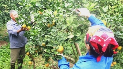 Para tener alimentos seguros, la causa raíz debe comenzar con la producción.