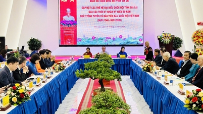 Gia Lai mengadakan pertemuan dengan generasi wakil Dewan Undangan Negeri dari wilayah tersebut sepanjang tempoh yang berbeza.