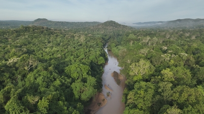 Preserve the peace of Ea Sô forest.
