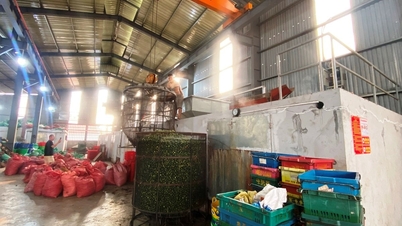 מחירי אגוזי הבטל צונחים, כפר האומנים קאו נאן פועל בקיבולת מופחתת.