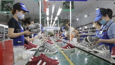Dva jednotlivci utratili téměř 1,4 bilionu VND za nákup akcií společnosti Thuong Dinh Shoes.