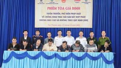 A mock trial was held in Da Nang to raise awareness against IUU fishing.