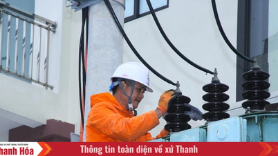 អតិថិជនធំៗចំនួន ៥០នាក់ រួមទាំងអតិថិជន 110kV នឹងទទួលបានសេវាសម្អាតអនុស្ថានីយរបស់ពួកគេដោយឥតគិតថ្លៃ។