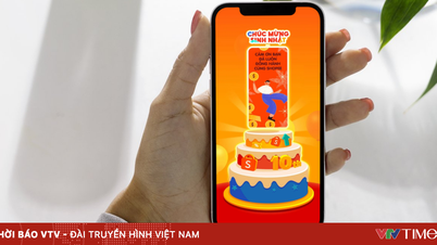 Shopee Live និង Shopee Video បានរក្សាឋានៈរបស់ពួកគេជាអ្នកលក់ដាច់បំផុតក្នុងអំឡុងពេលលក់បញ្ចុះតម្លៃ 12.12។