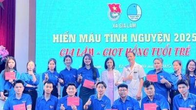យុវជន យ៉ា ឡាំ គឺជាអ្នកត្រួសត្រាយផ្លូវលើ «រណសិរ្ស» សុខុមាលភាពសង្គម។