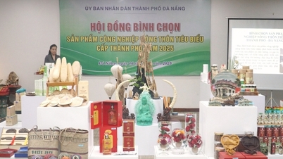 รับประกันการขยายตัวของฐานอุตสาหกรรมในชนบทของดานังสู่ตลาด