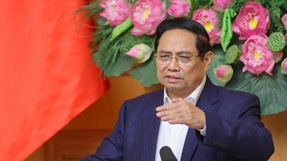 Der Premierminister beruft eine Sitzung zur Überprüfung der Quang-Trung-Kampagne ein: Er lobt Dak Lak und Da Nang.