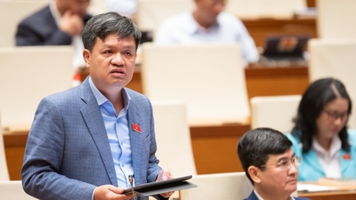 Strongly affirming the stance of "not sacrificing the environment for economic growth".