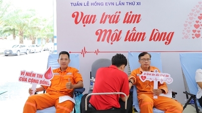 EVNGENCO2 đóng góp hơn 700 đơn vị máu trong Tuần lễ hồng EVN lần XI