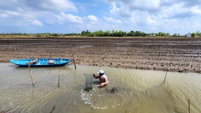 Can Tho aims to obtain a regional-level key product code for shrimp and rice farming.