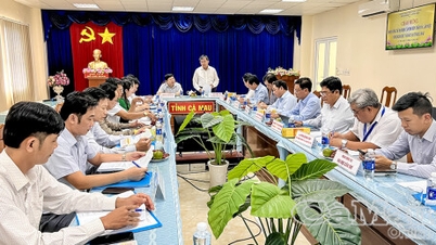 Ca Mau and Can Tho University exchange views on the content of cooperation for the new phase.