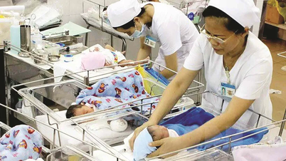 Mức sinh tại nhiều địa phương đã giảm xuống dưới mức sinh thay thế