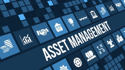 كيف يدير المستثمرون الفيتناميون أصولهم؟