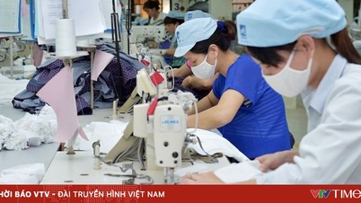 Tekstil ve giyim ihracatının 2025 yılında 46 milyar dolara ulaşacağı ve Vietnam'ın dünyanın en büyük 3 ihracatçısı arasındaki konumunu koruyacağı tahmin ediliyor.