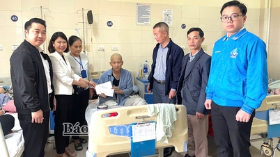 Відвідування та вручення подарунків підлітку-сироті, який страждає від тяжкої хвороби.