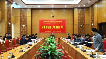 ກອງປະຊຸມໃຫຍ່ຄັ້ງທີ 10 ຂອງຄະນະກຳມະການພັກແຂວງສະໄໝທີ 20, 2025-2030
