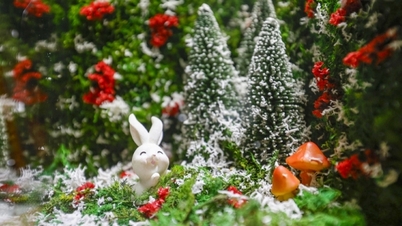یک محوطه خشک محصور شده با شیشه برای کریسمس، معیشتی برای افراد دارای معلولیت ایجاد می‌کند.