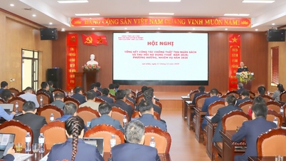 Summary of efforts to combat budget revenue losses and recover outstanding tax debts in 2025