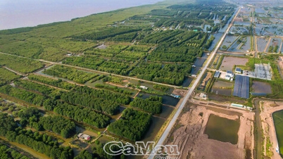 Захисний ліс Вінь Хау: Захист морських дамб та засобів до існування людей.