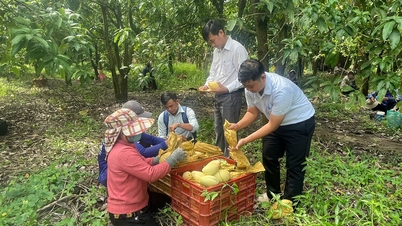 VİETNAM'A AKAN MEKONG NEHRİ'NİN KAYNAĞI - BİR BÖLGENİN İŞARETİ: Bölüm 3: Sınır Bölgesindeki Değişimler
