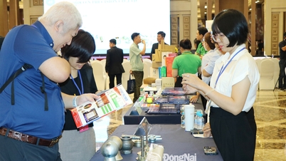 The United States is a key export market for Vietnamese goods.