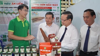 សប្តាហ៍ OCOP ទីក្រុងហូជីមិញប្រមូលផ្តុំផលិតផលពិសេសក្នុងតំបន់ប្រមាណ ៣០០០ មុខ។